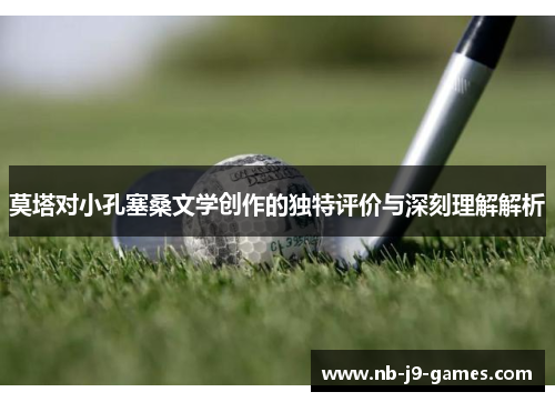 莫塔对小孔塞桑文学创作的独特评价与深刻理解解析